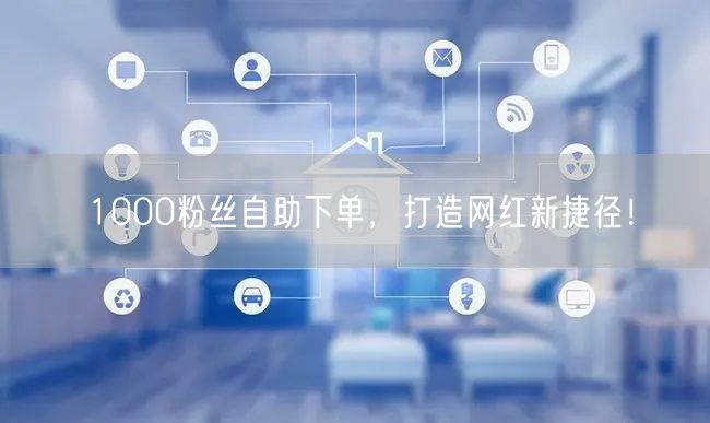 1000粉丝自助下单，打造网红新捷径！