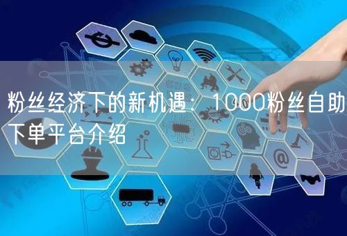 粉丝经济下的新机遇：1000粉丝自助下单平台介绍