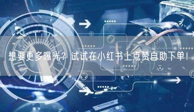 想要更多曝光？试试在小红书上点赞自助下单！