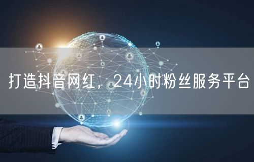 打造抖音网红，24小时粉丝服务平台