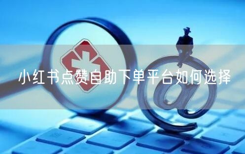 小红书点赞自助下单平台如何选择