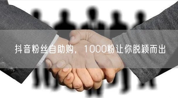 抖音粉丝自助购，1000粉让你脱颖而出