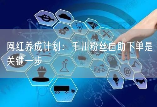 网红养成计划：千川粉丝自助下单是关键一步