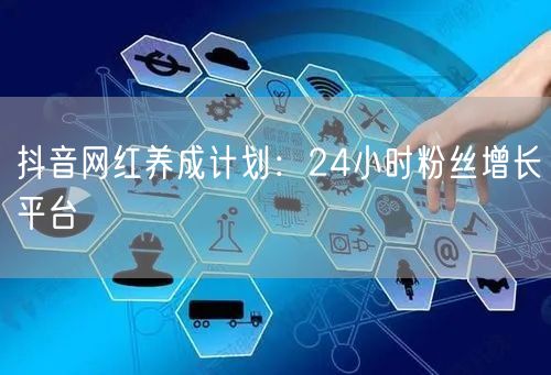 抖音网红养成计划：24小时粉丝增长平台