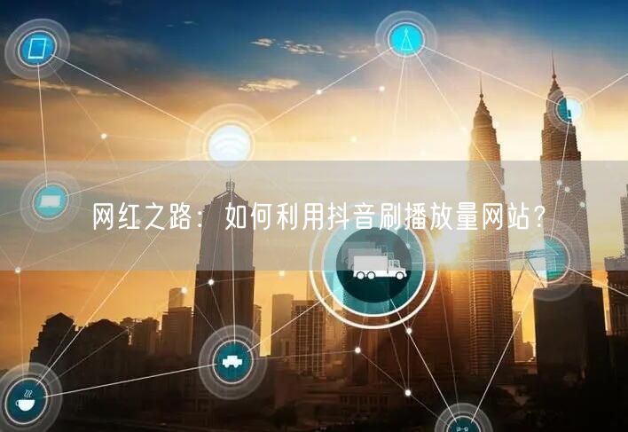 网红之路：如何利用抖音刷播放量网站？