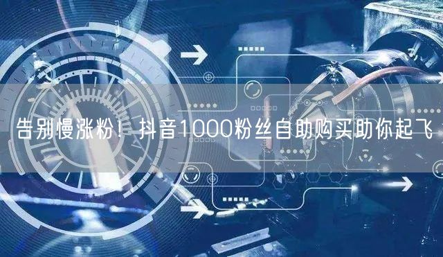 告别慢涨粉！抖音1000粉丝自助购买助你起飞