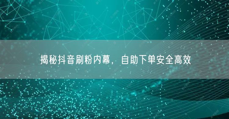 揭秘抖音刷粉内幕，自助下单安全高效