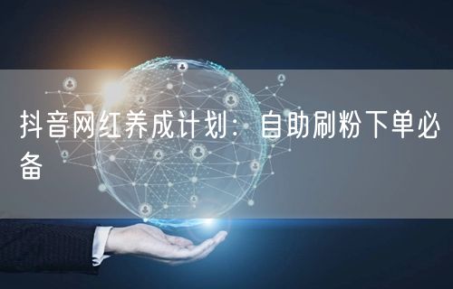 抖音网红养成计划：自助刷粉下单必备