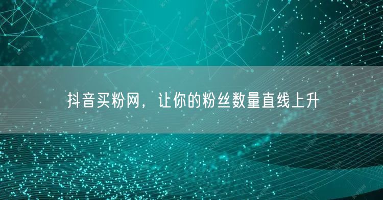 抖音买粉网，让你的粉丝数量直线上升