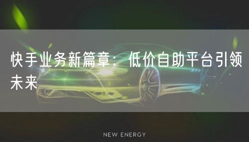 快手业务新篇章：低价自助平台引领未来