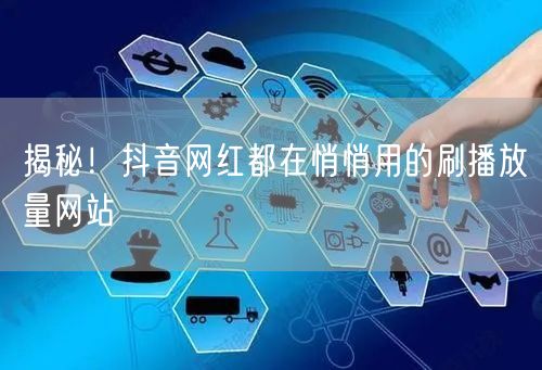 揭秘！抖音网红都在悄悄用的刷播放量网站