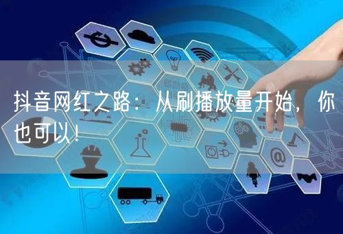 抖音网红之路：从刷播放量开始，你也可以！