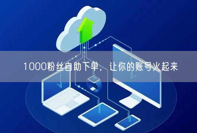 1000粉丝自助下单，让你的账号火起来