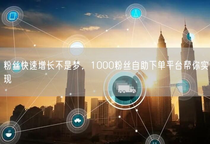 粉丝快速增长不是梦，1000粉丝自助下单平台帮你实现