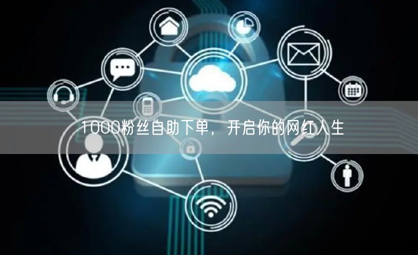1000粉丝自助下单，开启你的网红人生