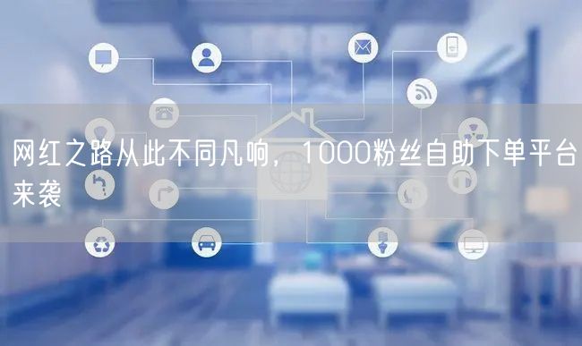 网红之路从此不同凡响,1000粉丝自助下单平台来袭