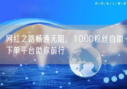 网红之路畅通无阻,1000粉丝自助下单平台助你前行