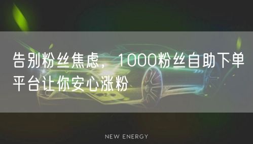 告别粉丝焦虑,1000粉丝自助下单平台让你安心涨粉