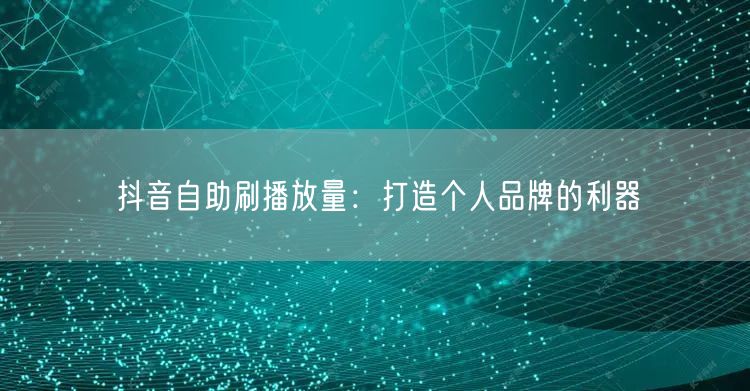 抖音自助刷播放量：打造个人品牌的利器