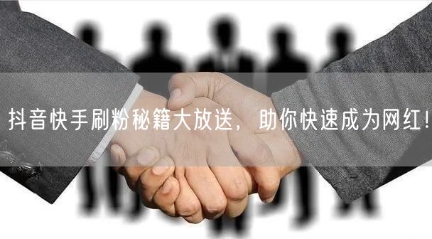 抖音快手刷粉秘籍大放送，助你快速成为网红！