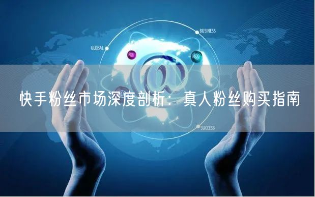 快手粉丝市场深度剖析：真人粉丝购买指南