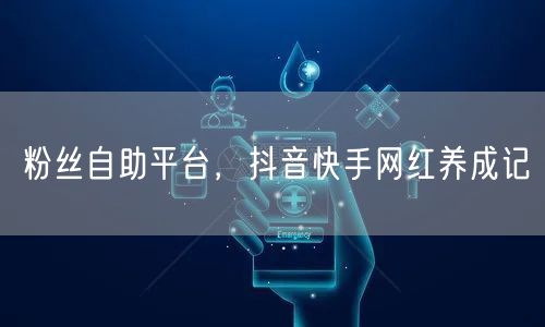 粉丝自助平台，抖音快手网红养成记