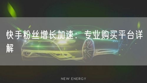 快手粉丝增长加速：专业购买平台详解