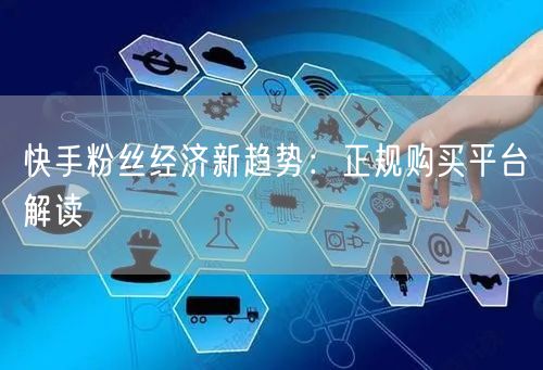 快手粉丝经济新趋势：正规购买平台解读