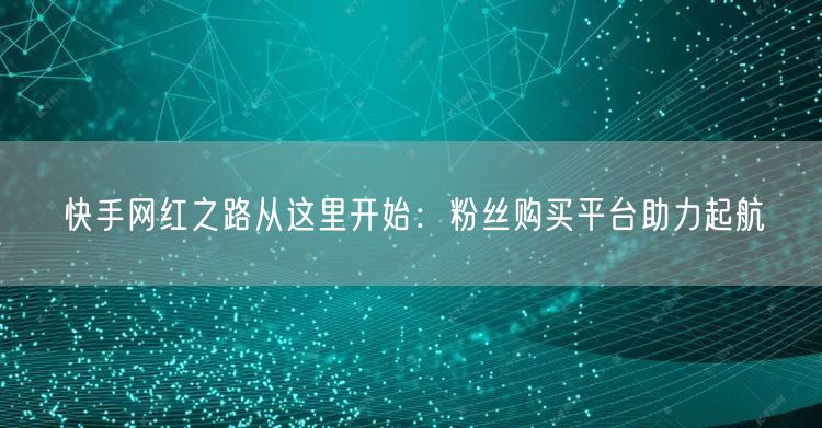 快手网红之路从这里开始：粉丝购买平台助力起航