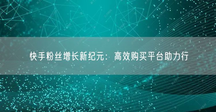 快手粉丝增长新纪元:高效购买平台助力行