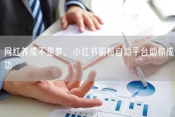 网红养成不是梦,小红书刷粉自助平台助你成功