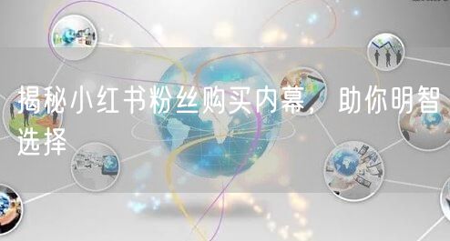 揭秘小红书粉丝购买内幕，助你明智选择