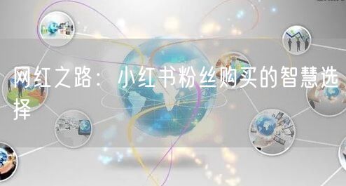 网红之路：小红书粉丝购买的智慧选择