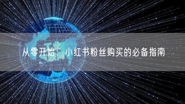从零开始：小红书粉丝购买的必备指南