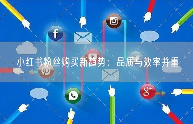 小红书粉丝购买新趋势：品质与效率并重
