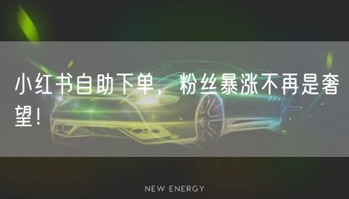 小红书自助下单,粉丝暴涨不再是奢望!
