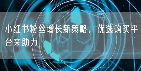 小红书粉丝增长新策略,优选购买平台来助力