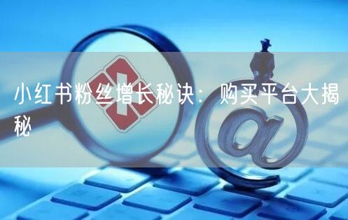 小红书粉丝增长秘诀：购买平台大揭秘