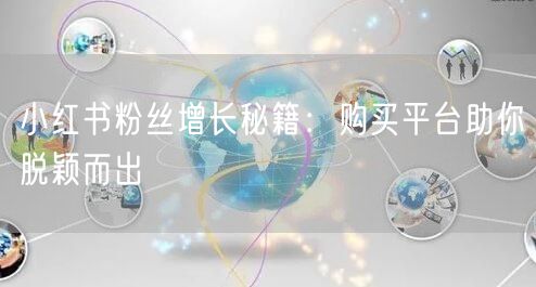 小红书粉丝增长秘籍：购买平台助你脱颖而出