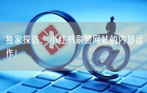 独家探访：小红书刷赞网站的内部运作！