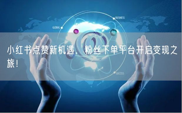 小红书点赞新机遇，粉丝下单平台开启变现之旅！