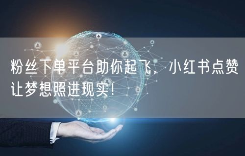 粉丝下单平台助你起飞，小红书点赞让梦想照进现实！