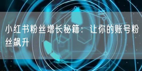 小红书粉丝增长秘籍：让你的账号粉丝飙升