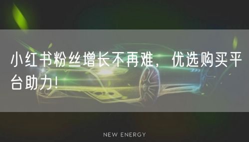 小红书粉丝增长不再难，优选购买平台助力！