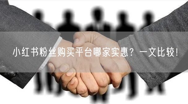 小红书粉丝购买平台哪家实惠？一文比较！