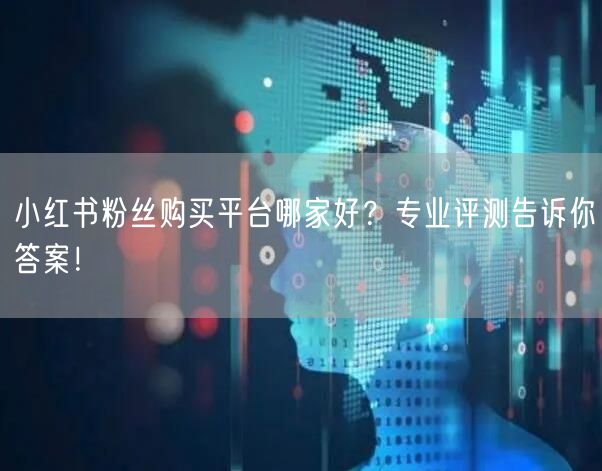 小红书粉丝购买平台哪家好?专业评测告诉你答案!