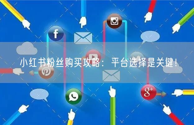 小红书粉丝购买攻略：平台选择是关键！