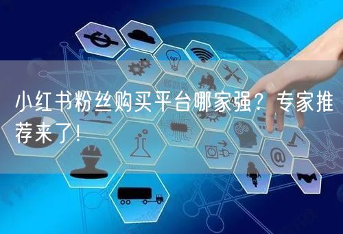 小红书粉丝购买平台哪家强？专家推荐来了！