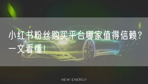 小红书粉丝购买平台哪家值得信赖？一文看懂！