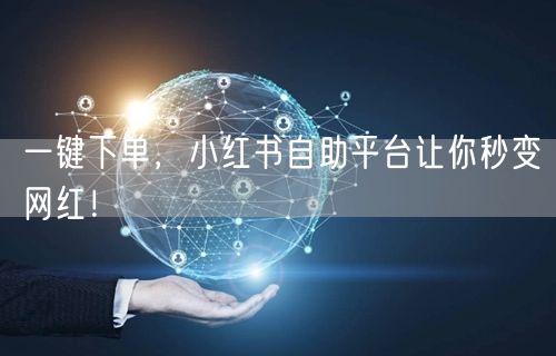 一键下单，小红书自助平台让你秒变网红！